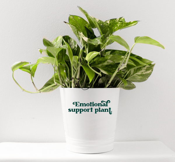 9 MORE Plant Lover SVGs Bundle