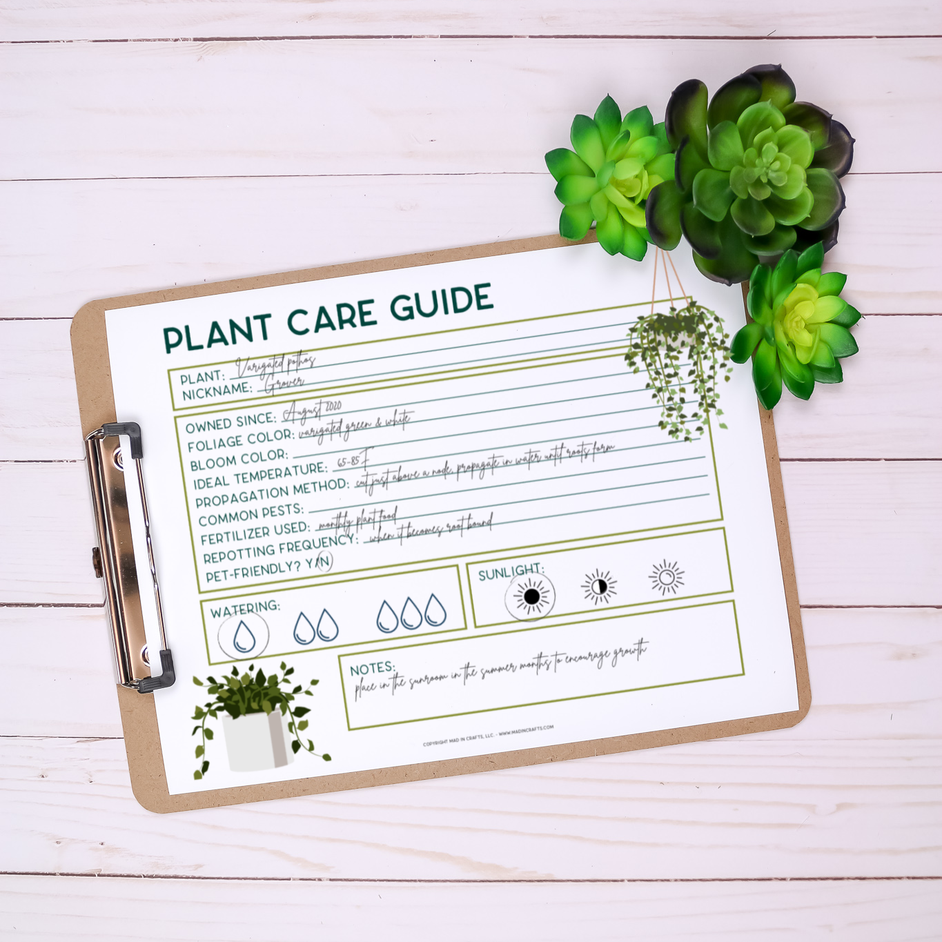 Plant Care Printable Bundle – Mad in Crafts plant-care-printable-bundle-mad-in-crafts