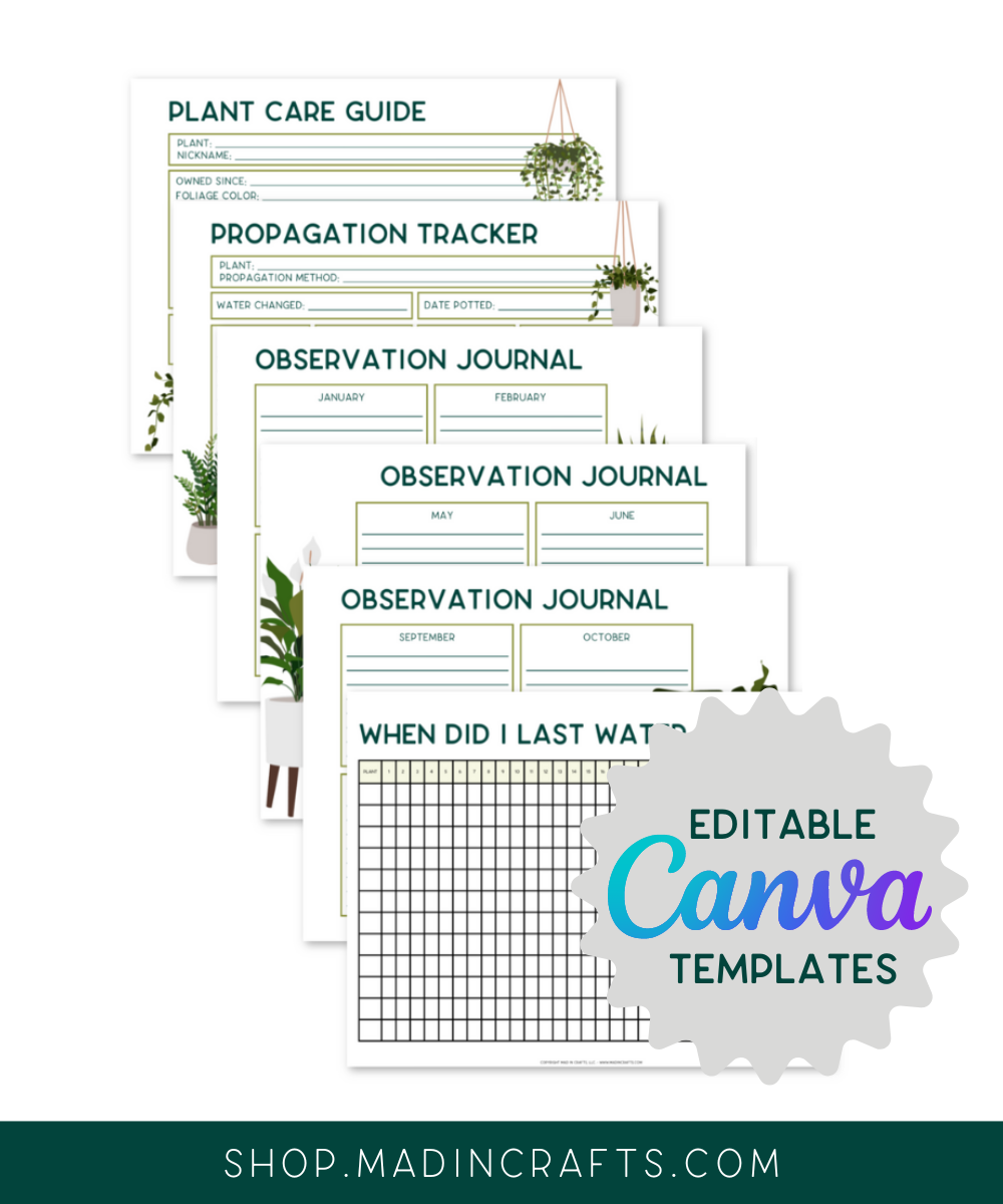 Editable Canva Plant Care Template