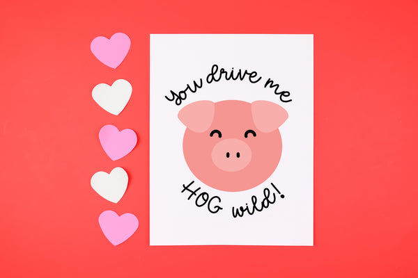 12 Punny Animal Valentine SVGs Bundle